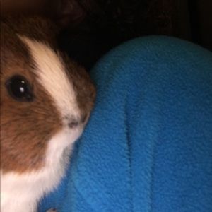 Meet your Posher, Tash